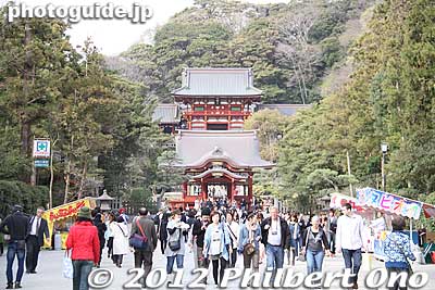 Tsurugaoka Hachimangu Shrine straight ahead.
Keywords: kanagawa kamakura tsurugaoka hachimangu shrine