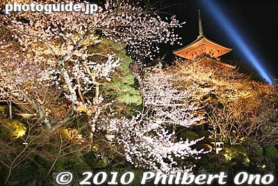 Kiyomizu temple with cherry blossoms lit up at night.
Keywords: kyoto temple 