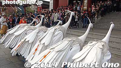 The white heron dancers bow before Sensoji temple before leaving.
Keywords: tokyo taito-ku asakusa shirasagi no mai white heron dancers