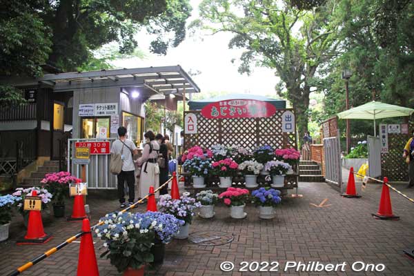 Ticket booth. Admission: ¥500 for adults and free for junior high schoolers and younger. In June, open 8:00 am to 9:00 pm. (Enter by 8:30 pm.)
Keywords: aichi Gamagori Katahara Onsen hydrangea
