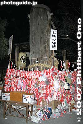Tree surrounded with cloth strips called Naoi-gire
Keywords: aichi inazawa konomiya jinja shrine