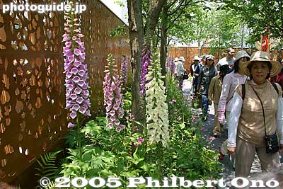 UK, a garden entrance path.
Keywords: Aichi Nagakute Expo 2005 international pavilions 
