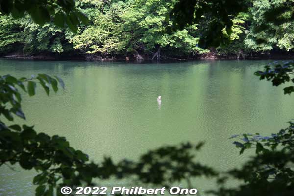 Along the way, we passed by the large Ketoba-no-Ike Pond (鶏頭場の池), one of the Twelve Juniko Lakes.
Keywords: aomori fukaura juniko lakes