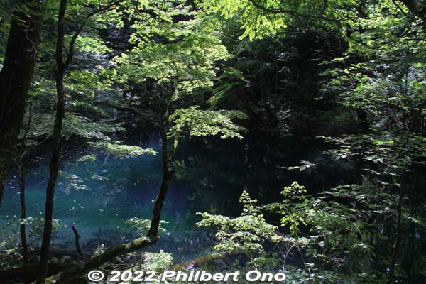 Wakitsubo-no-Ike Pond 沸壺の池（沸壷の池).
Keywords: aomori fukaura juniko lakes beech forest