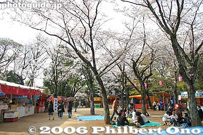 Picnic area
Keywords: chiba castle inohana park sakura cherry blossoms