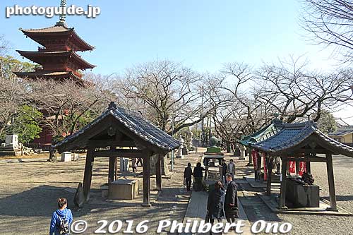 View from Soshido Hall
Keywords: chiba ichikawa nakayama hokekyoji nichiren buddhist temple