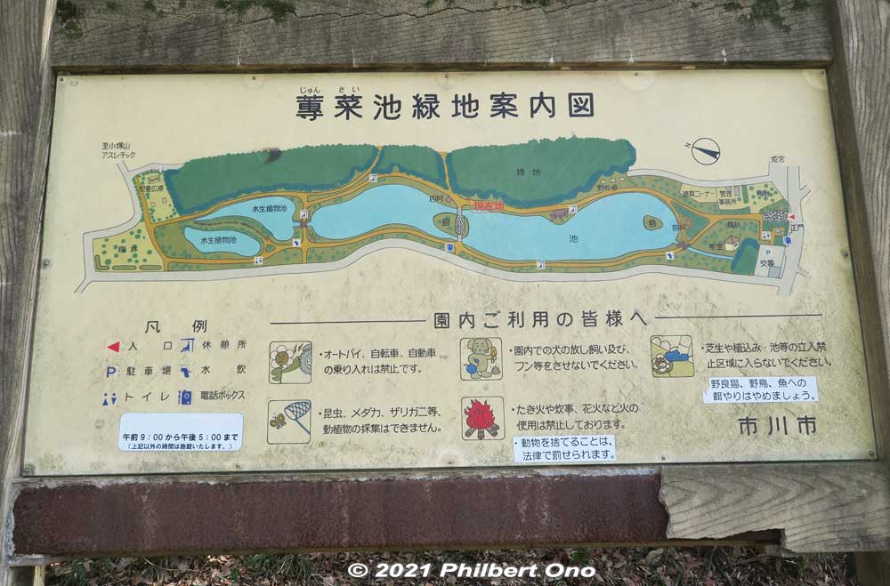 If you started the hike at Kita-Kokubun Station, Junsai-ike Pond Ryokuchi green belt park is the first substantial park where you can rest or have lunch. Large pond and cherry blossoms. じゅん菜池緑地
Keywords: chiba ichikawa park hiking trail mizu midori kairo