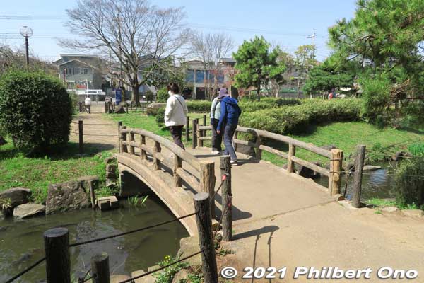 Small bridge in the middle of Junsai-ike Pond.
Keywords: chiba ichikawa park hiking trail mizu midori kairo