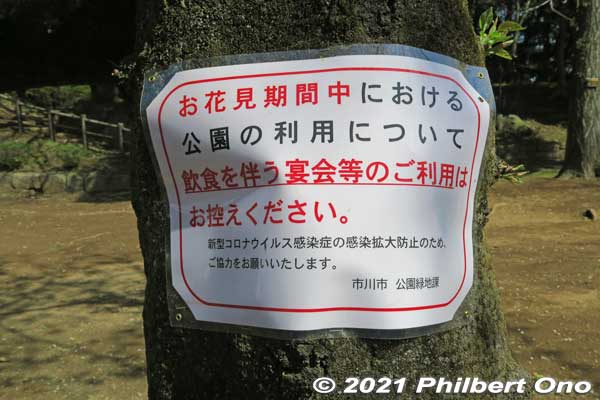 Sign on a cherry tree saying that no hanami flower-viewing picnics are not allowed here due to Covid-19.
Keywords: chiba ichikawa park hiking trail mizu midori kairo
