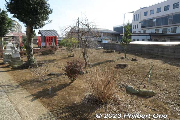 Don't know why the land has been cleared of trees.
Keywords: Chiba Kamagaya Hachiman Shrine
