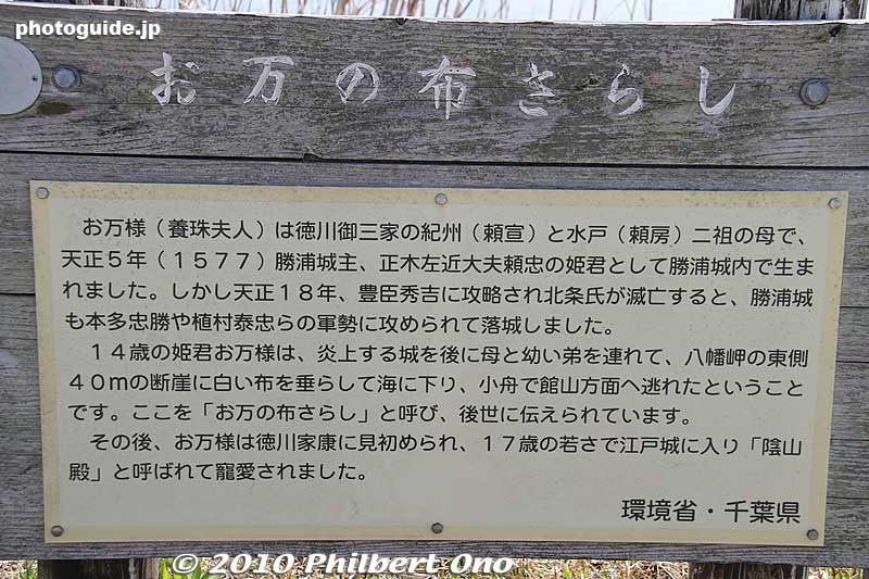 When Oman-no-kata was 14, Katsuura Castle was beseiged by Hideyoshi's forces and she, her mother and little brother escaped near here by using a white sheet to go down the cliff to a small boat which took them to Tateyama.
Keywords: chiba katsuura 