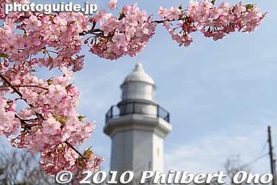 Katsuura Lighthouse and cherry blossoms
Keywords: chiba katsuura 