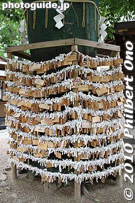 Matsudo Shrine omikuji paper fortunes.
Keywords: chiba matsudo shrine