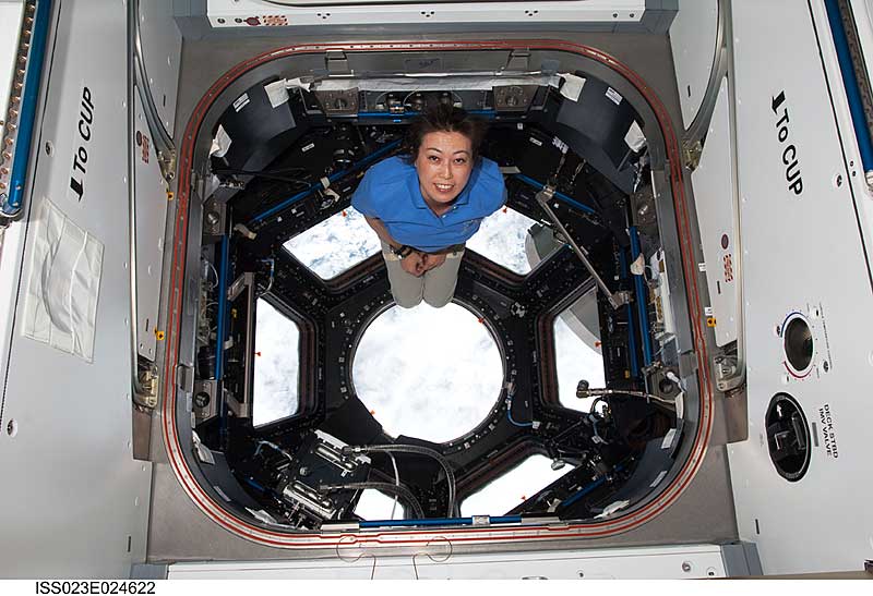 Naoko Yamazaki, STS-131 mission specialist, poses for a photo in the Cupola of the International Space Station.
17 April 2010 --- Japan Aerospace Exploration Agency astronaut Naoko Yamazaki, STS-131 mission specialist, poses for a photo in the Cupola of the International Space Station while space shuttle Discovery remains docked with the station.
