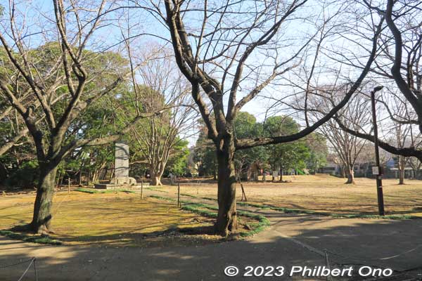 Saginuma Castle Park is a small, flat park ringed with cherry blossom trees. This was in winter.
Keywords: Chiba Narashino Saginuma Castle park tumuli burial mound