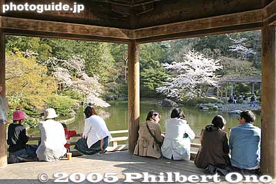 Narita-san Park's Ukimido Floating Hall
Keywords: chiba, narita, narita-san, temple, Buddhist, sakura, cherry blossoms, japangarden, ukimido park garden