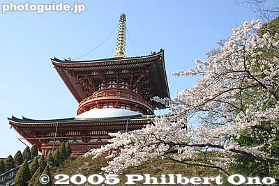 Tower of Peace, Narita-san Heiwa no Daito 平和の大塔
Keywords: chiba, narita, narita-san, temple, Buddhist, sakura, heiwa, cherry blossoms, japantemple garden
