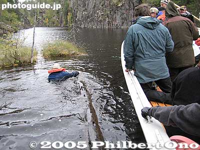 Our guide in the water
Lassi, our fearless and dedicated nature guide, entered the frigid water to remove a log that was obstructing the boat landing where we were going to disembark for a short hike.
Keywords: Finland Kuusamo Julma Ölkky canyon lake