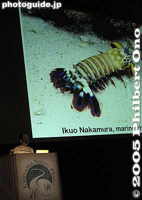 Sept. 11, 2005: The second photographer I introduced was Ikuo Nakamura, one of Japan's most well-known underwater photographers. I explained about how soil erosion and runoff killed a lot of coral in Okinawa together with the starfish...　僕のス
The second photographer I introduced was Ikuo Nakamura, one of Japan's most well-known underwater photographers. I explained about how soil erosion and runoff killed a lot of coral in Okinawa together with the starfish, a natural enemy of coral. Then I showed 20 of his pictures of coral and marine life in Okinawa.

It was an automatic slide show with Hawaiian music in the background. (A lot of people liked the Hawaiian music which was by Kealii Reichel, a very famous singer in Hawaii.) This was the only slide show of underwater photos at the Kuusamo Nature Photo festival.
Web site: [url=http://www.squall.co.jp/index1.html]squall.co.jp[/url]

次に中村郁夫先生の沖縄の美しい水中写真を２０点上映して、珊瑚礁の絶滅とか天敵などの説明をして作品をBGMと一緒に自動スライドショーを。（BGMには、沖縄の音楽にしたかったけど、それが忘れまして手元にあったハワイの曲にしました。そのハワイの曲もとても好評でした。）北欧に見れない熱帯の生き物を見せたくて写真祭りの唯一の水中写真のスライドショーでした。
Keywords: Finland Kuusamo nature photo