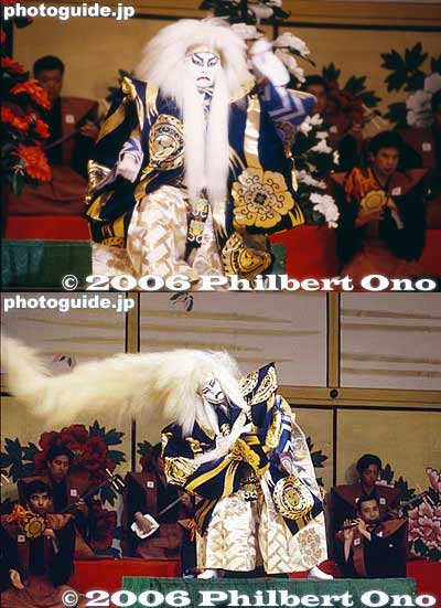 In case you missed the exhibition, you can see most of the pictures on this page. Lion Dance above.
From a kabuki dance called Renjishi, this is one of Japan's most famous and dramatic costumes. The dance is usually performed by a father and son both appearing first as ordinary dancers holding a lion mask. Later, they transform into fierce-looking lions, the father with long white hair and the son with long red hair. The dance climaxes with both father and son spinning their hair furiously in the air accompanied by quick drum beating and music. A similar kabuki dance called Kagamijishi features only the white lion.
