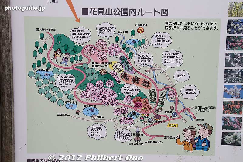 Map of Hanamiyama Park. It's kind of hard to figure out.
Keywords: Fukushima Hanamiyama Park spring flowers
