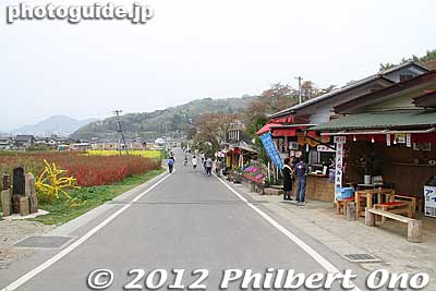Road back to the parking lot.
Keywords: Fukushima Hanamiyama Park spring flowers