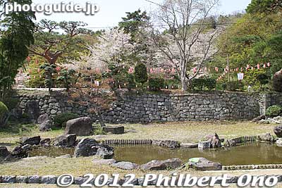 Keywords: fukushima nihonmatsu kasumigajo castle pine trees matsu cherry blossoms