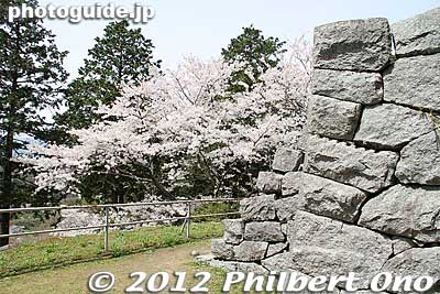 Karamete-mon Gate
Keywords: fukushima nihonmatsu kasumigajo castle pine trees matsu cherry blossoms
