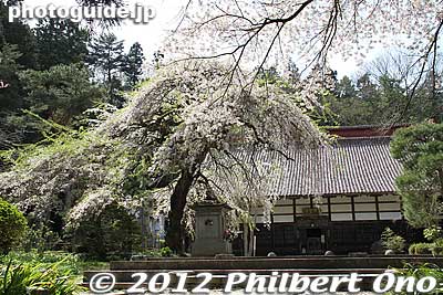Dairinji temple is the temple for the Niwa Clan who lived in Nihonmatsu Castle. 大隣寺
Keywords: fukushima nihonmatsu dairinji temple