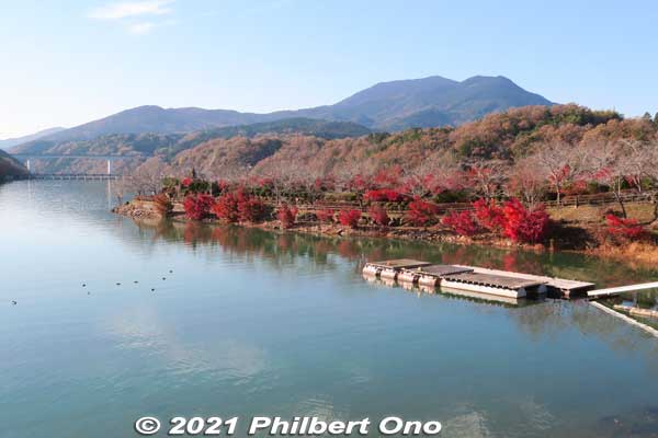 On the right is Sazanami Park lined with autumn maple leaves in November and cherry blossoms in spring. Everything is within a short walk. These photos were taken in November.
Keywords: gifu ena enakyo gorge maple leaves autumn foliage