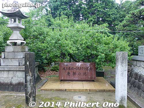Monument marking the birthplace of Gifu's Boy Scouts.
Keywords: gifu kano-juku castle nakasendo