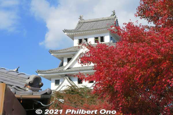 Main tower and red maples.
Keywords: gifu Gujo Hachiman Castle autumn foliage leaves maples