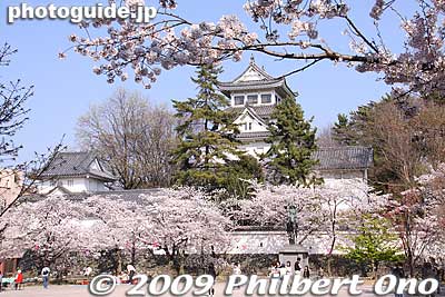 Keywords: gifu ogaki castle cherry blossoms sakura japancastle
