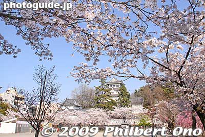 Ogaki Castle and cherry blossoms
Keywords: gifu ogaki castle cherry blossoms sakura japancastle