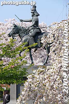 Keywords: gifu ogaki castle cherry blossoms sakura 