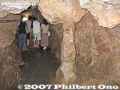 Height of the cavern is barely enough for an adult to walk througgh.
Keywords: gifu sekigahara stalactite cavern