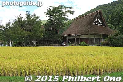 In autumn (Oct.), approaching rice harvest season.
Keywords: gifu shirakawa-mura village shirakawa-go thatched roof temple Buddhist