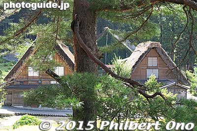 Keywords: gifu shirakawa-mura village shirakawa-go thatched roof temple Buddhist