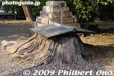 Roof for a tree stump.
Keywords: gifu tarui-cho nangu shrine shinto