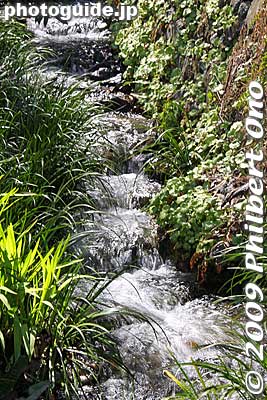 Roadside stream
Keywords: gifu yoro-cho yoro park waterfalls yoro-no-taki falls 