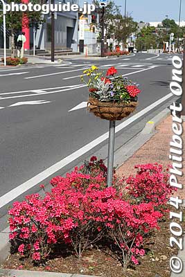Tsutsujigaoka Park is a 15-20-min. walk from Tatebayashi Station.
Keywords: gunma tatebayashi azalea flowers