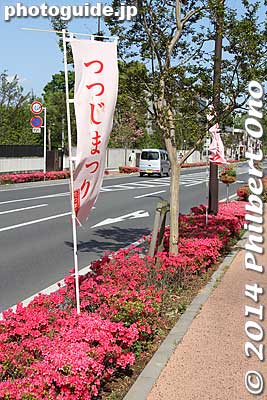 It's a pleasant walk with azalea decorating the sidewalk.
Keywords: gunma tatebayashi azalea flowers