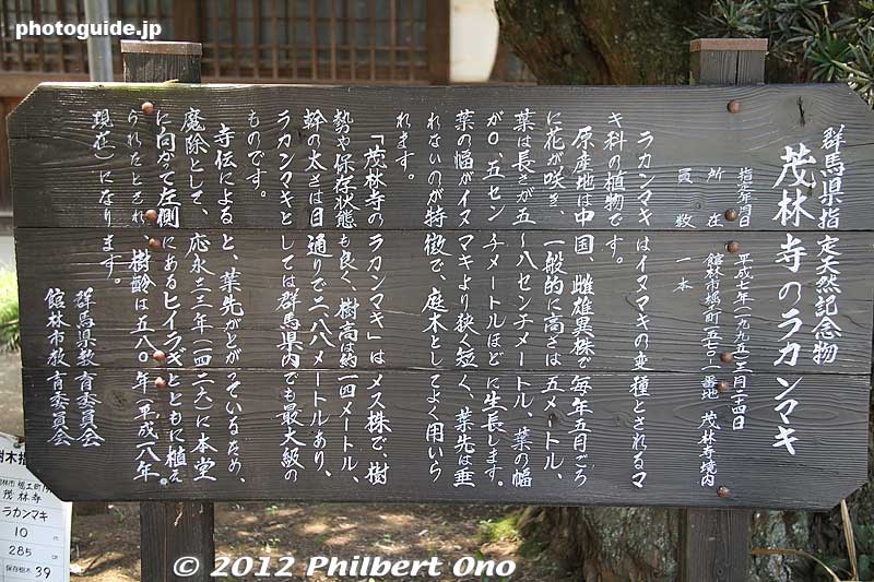 About the Yew plum pine.
Keywords: gunma tatebayashi morinji temple soto zen