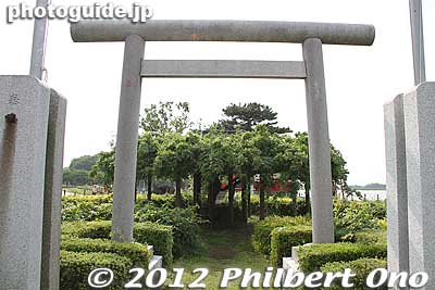 Wisteria tree behind the torii and in front of the shrine.
Keywords: gunma tatebayashi Tataranuma Park lake benzaiten shrine