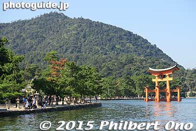 Miyajima is a National Important Traditional Townscape Preservation District (重要伝統的建造物群保存地区).
Keywords: hiroshima hatsukaichi miyajima Itsukushima shrine
