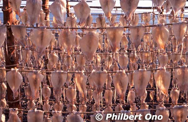 So many cuttlefish (ika).
Keywords: hokkaido rebun island ika cuttlefish