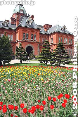 The roof has chimney-like ventilation outlets.
Keywords: hokkaido sapporo government historic building red brick akarenga capitol important cultural property tulips flowers