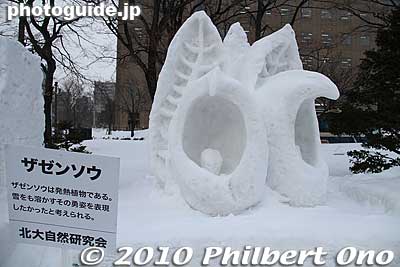 Eastern Skunk Cabbage snow sculpture/statue 座禅草
Keywords: hokkaido sapporo snow festival sculptures statue 