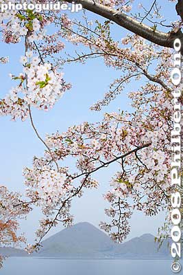 It was pretty sunny, but I still used flash for this shot.
Keywords: hokkaido sobetsu-cho toyako lake toya cherry blossoms nakajima islands flowers spring trees