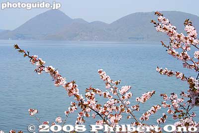 Lake Toya and cherry blossoms. Shikotsu-Toya National Park
Keywords: hokkaido sobetsu-cho toyako lake toya cherry blossoms nakajima islands flowers spring trees sakura japannationalpark